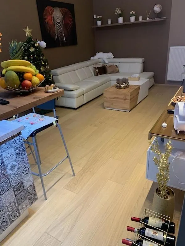 Apartment Dagmar Buresove 布拉格 0*,